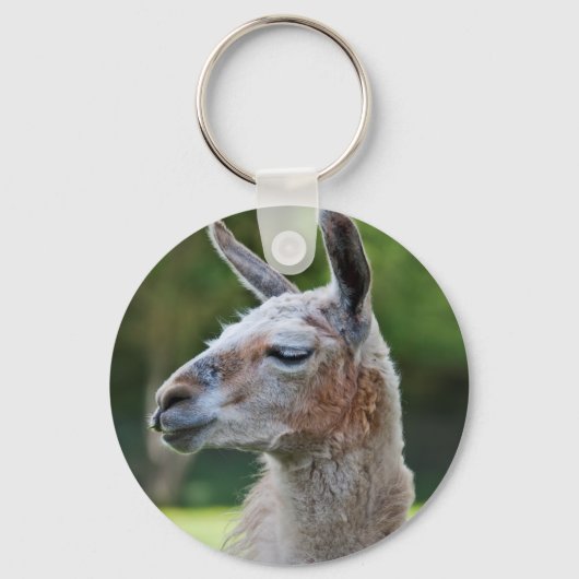 Llama Keyring Schlüsselanhänger (Vorderseite)