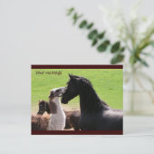 Llama kiss Postkarten (Stehend Vorderseite)