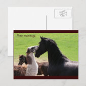 Llama kiss Postkarten (Vorne/Hinten)