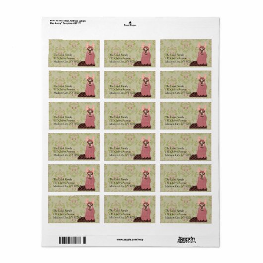 Llama Label Adressaufkleber (Vorne)