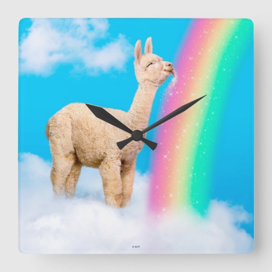 Llama Licking Rainbow Quadratische Wanduhr (Vorderseite)
