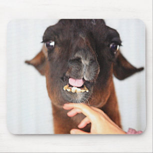 Llama-Liebe Mousepad
