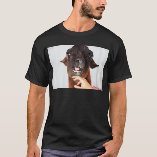 Llama-Liebe T-Shirt (Vorderseite)