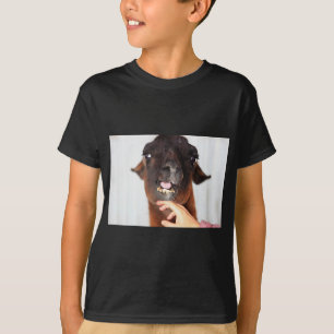 Llama-Liebe T-Shirt