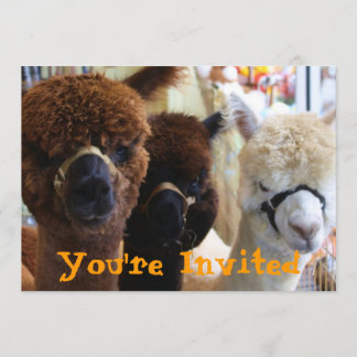 Llama Llama Einladung