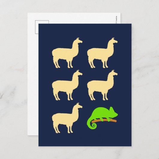 Llama Llama Llama Llama Llama Chameleon Postkarte (Vorne/Hinten)