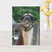 Llama Llunch, Greetings Karte (Gelbe Blume)