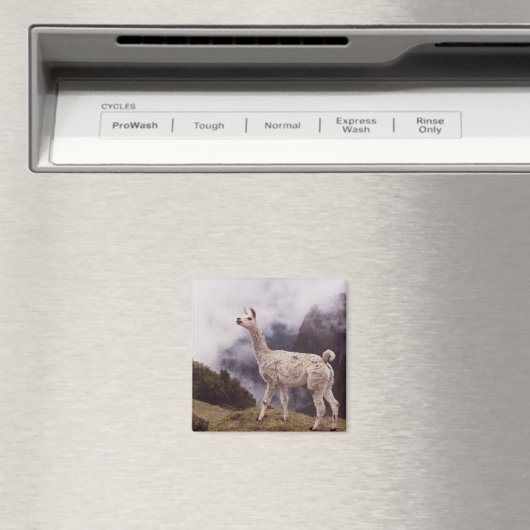 Llama Machu Picchu, Peru Magnet (In Situ (Geschirrspüler))