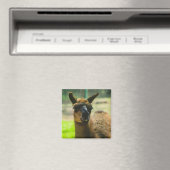 Llama Magnet (In Situ (Geschirrspüler))