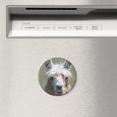 Llama Magnet (In Situ (Geschirrspüler))