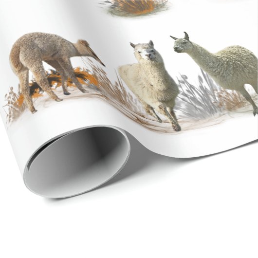 Llama Meadow Wrapping Paper (Farbe auswählen) Geschenkpapier (Rolleneckpunkt)