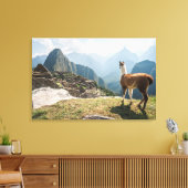 Llama mit Blick auf Ruinen | Machu Picchu, Peru Leinwanddruck (Insitu (Wohnzimmer))