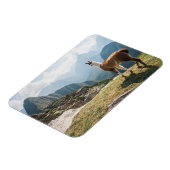 Llama mit Blick auf Ruinen | Machu Picchu, Peru Magnet (Linke Seite)