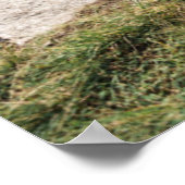 Llama mit Blick auf Ruinen | Machu Picchu, Peru Poster (Ecke)