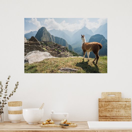 Llama mit Blick auf Ruinen | Machu Picchu, Peru Poster (Küche)