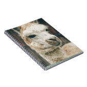 Llama Nah hoch Notizblock (Rechte Seite)