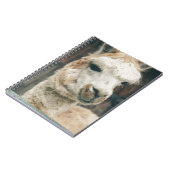 Llama Nah hoch Notizblock (Linke Seite)