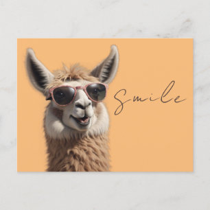 Llama Niedlich Alpaca mit Sonnenbrille Funny Postkarte