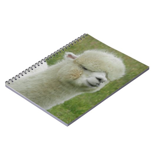 Llama Notizblock (Linke Seite)