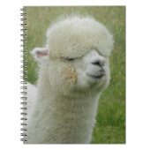 Llama Notizblock (Vorderseite)