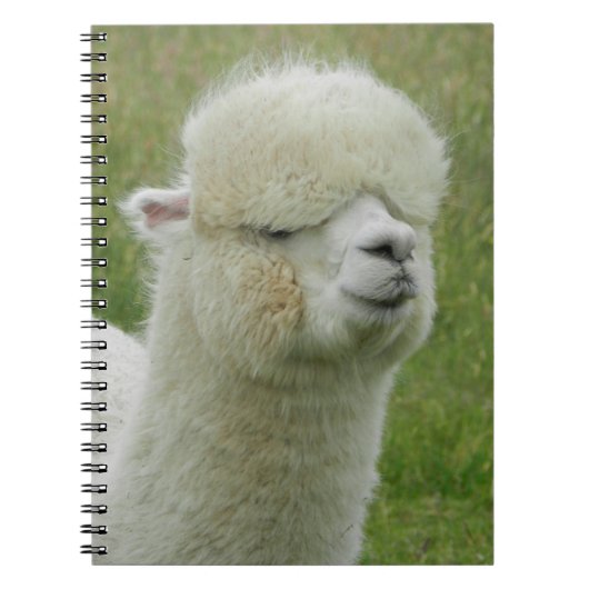 Llama Notizblock (Vorderseite)