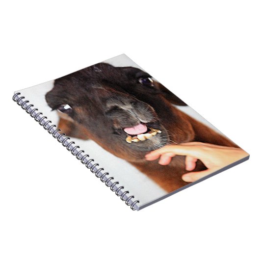 Llama Notizblock (Rechte Seite)