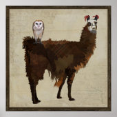 LLAMA & OWL Poster (Vorne)