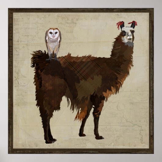 LLAMA & OWL Poster (Vorne)