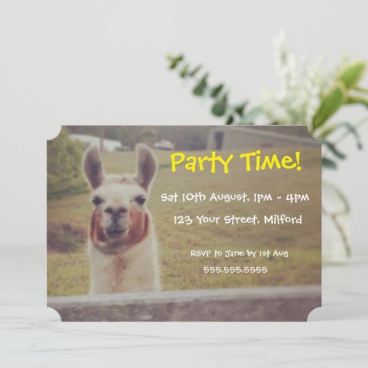 Llama-Party Einladung (Stehend Vorderseite)
