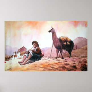 Llama Picture Cuzco Peru Poster
