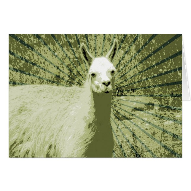 Llama Pop Art (Vorderseite (Horizontal))