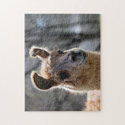 Llama Portrait, Jigsaw Puzzle (Vertikal)