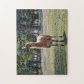 Llama Poser Animal Nature Puzzle (Vertikal)
