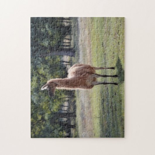 Llama Poser Animal Nature Puzzle (Vertikal)