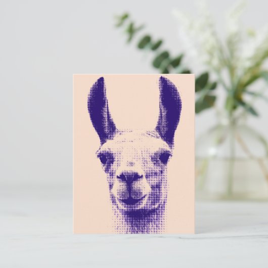 Llama Postcard Postkarte (Stehend Vorderseite)