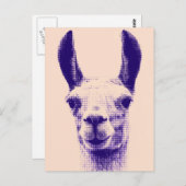 Llama Postcard Postkarte (Vorne/Hinten)