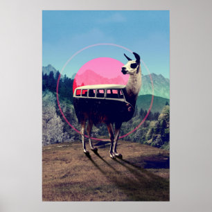 Llama Poster