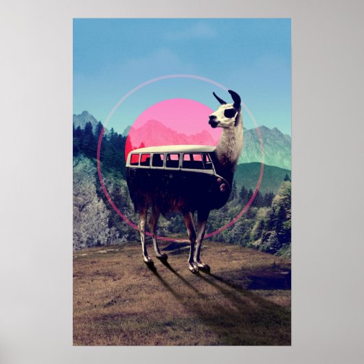 Llama Poster (Vorne)