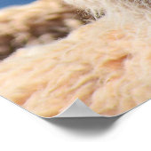 Llama Poster Art (Ecke)