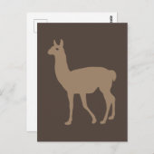 Llama Postkarte (Vorne/Hinten)