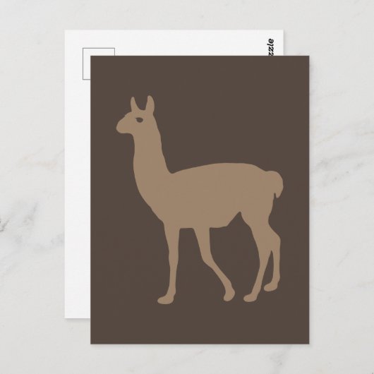 Llama Postkarte (Vorne/Hinten)