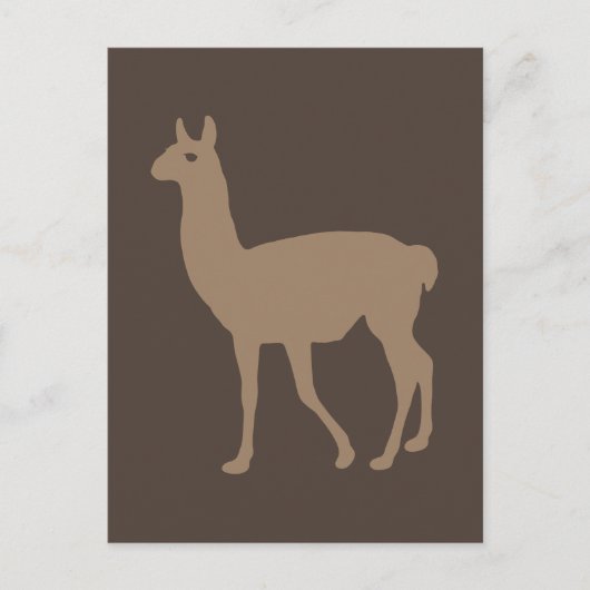 Llama Postkarte (Vorderseite)