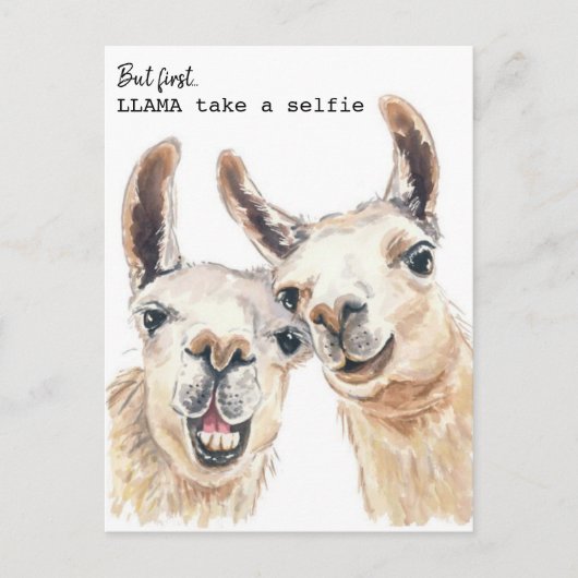 Llama Puns Postcard - Lllama selfie machen Postkarte (Vorderseite)
