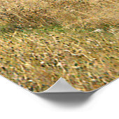 Llama Ranch......... Poster (Ecke)