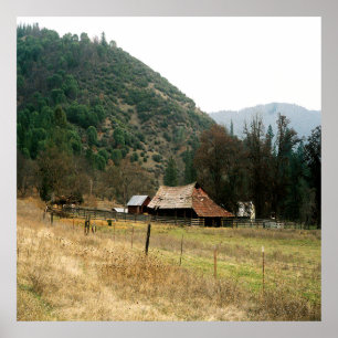 Llama Ranch......... Poster