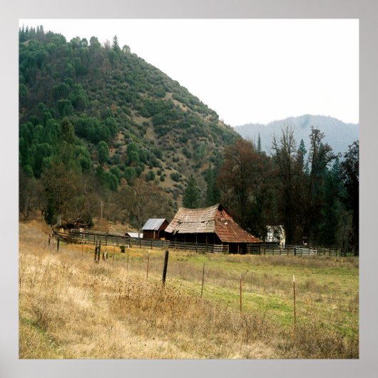 Llama Ranch......... Poster (Vorne)