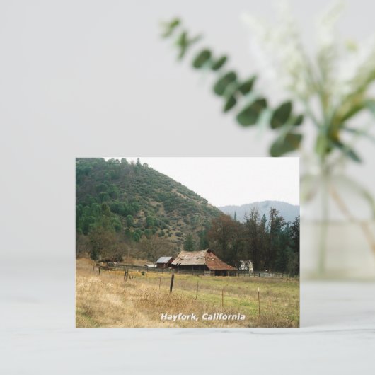 Llama Ranch......... Postkarte (Stehend Vorderseite)