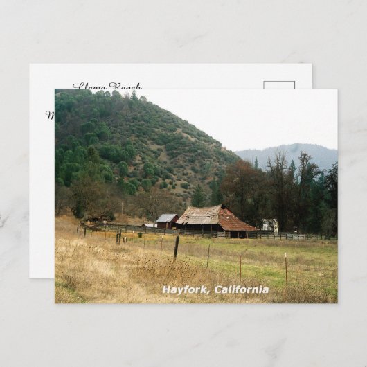 Llama Ranch......... Postkarte (Vorne/Hinten)