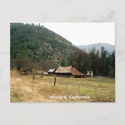 Llama Ranch......... Postkarte (Vorderseite)