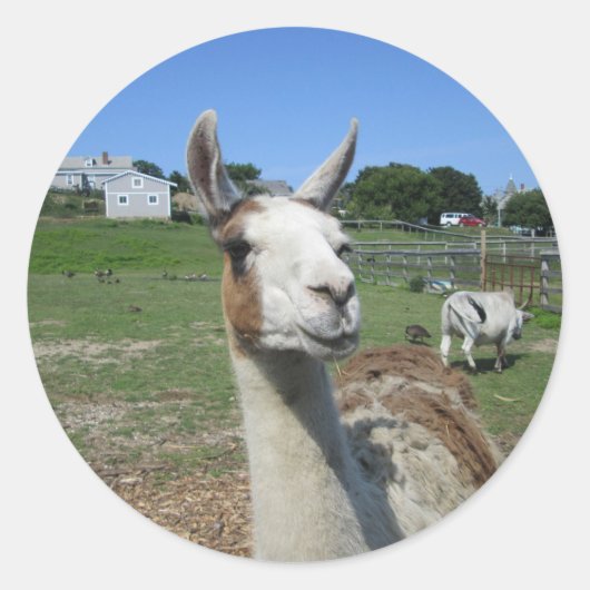 Llama Runder Aufkleber (Vorderseite)